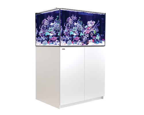 k220528300g2