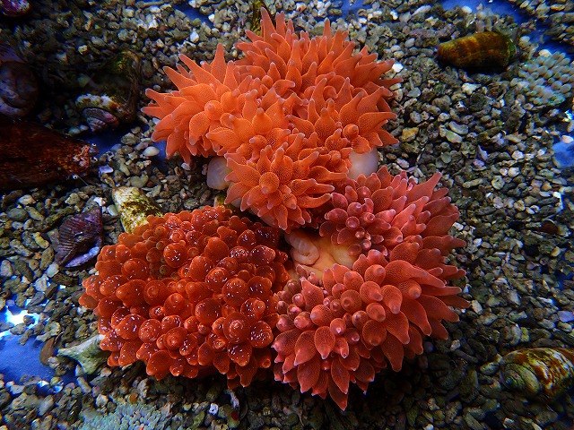 l230318402