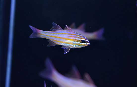 s230307201