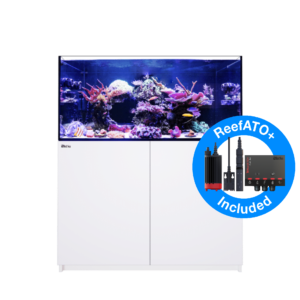 k230413350G2+