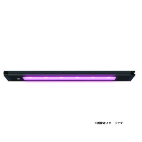 LED2024012401bf