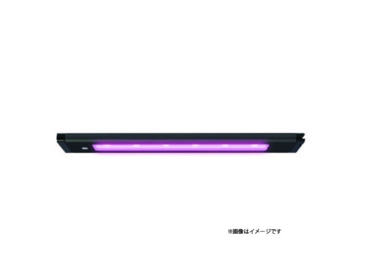 LED2024012401bf