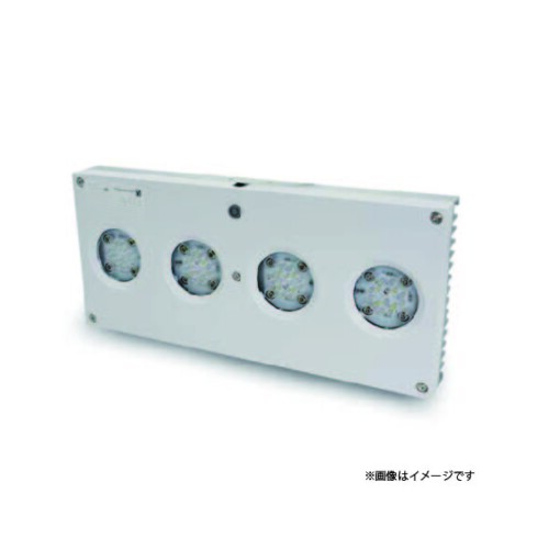 led2024061505bf