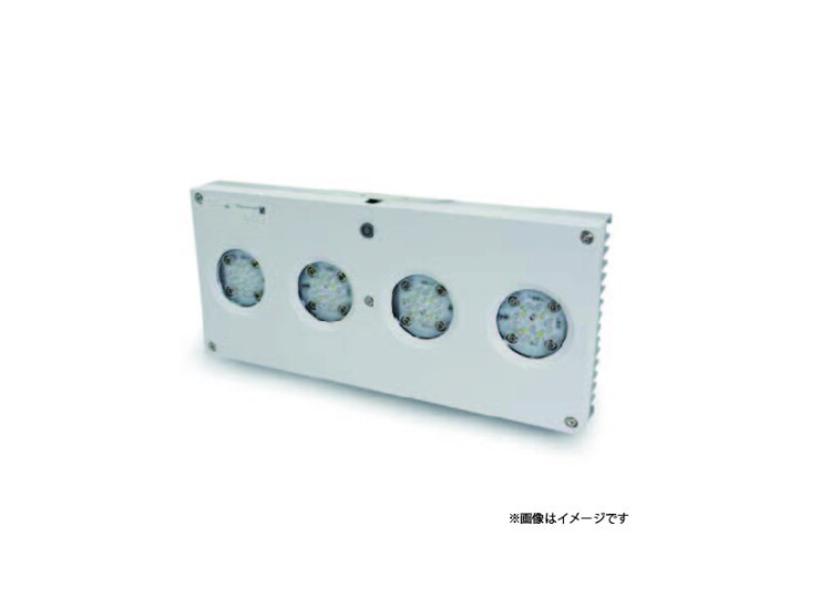 led2024061505bf