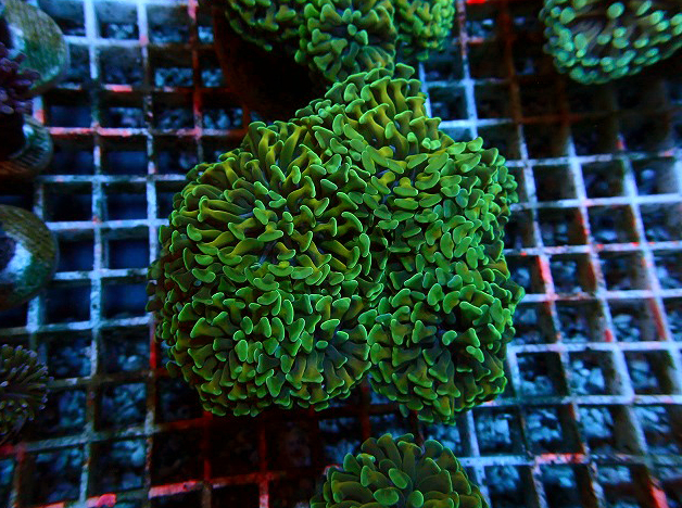 s250307001 (44)