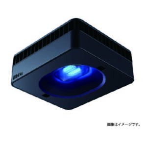 s-2025040401