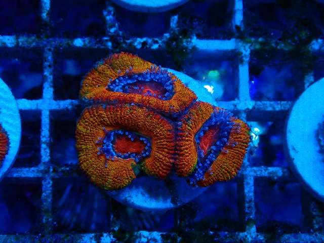 s250413001 (37)