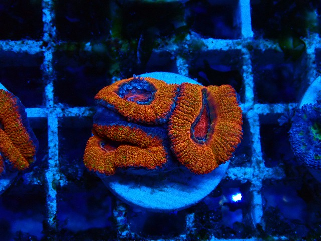s250413001 (38)