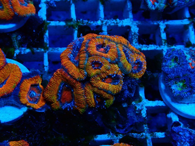 s250413001 (40)