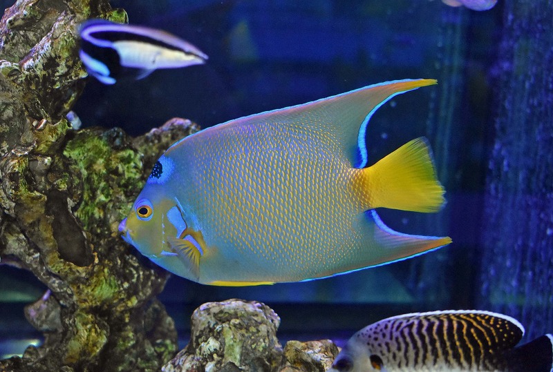 c250501305