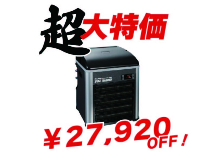 k-20250524500