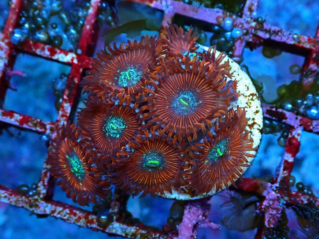 l250510413