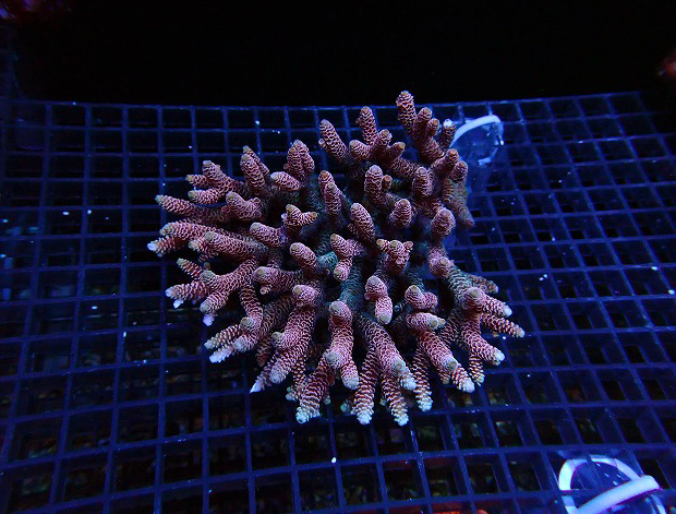 s250504001 (29)