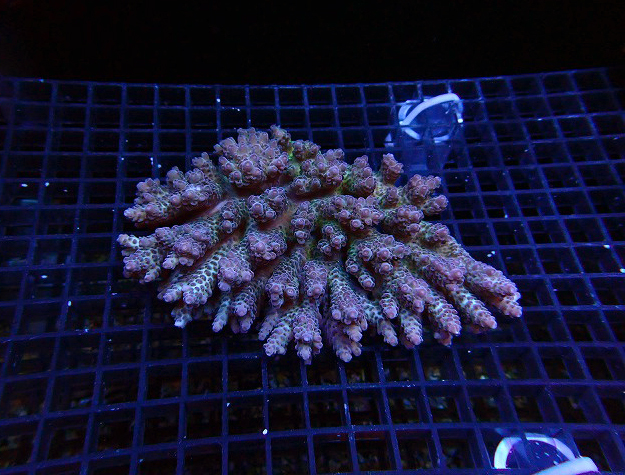 s250504001 (52)