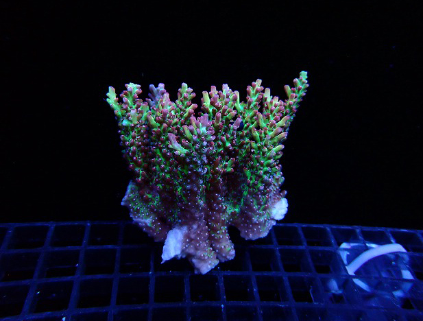 s250504001 (57)
