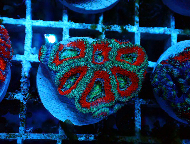 s250505001 (137)