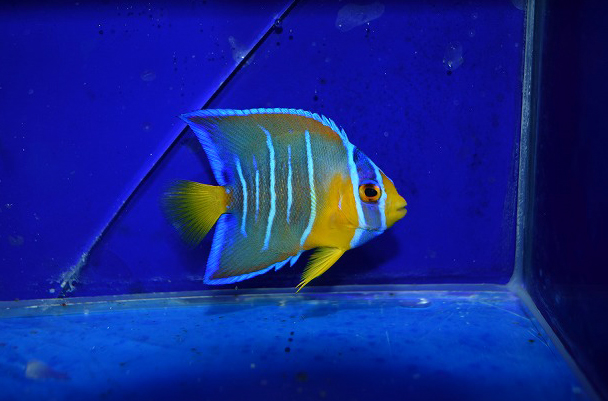 s250530001 (7)