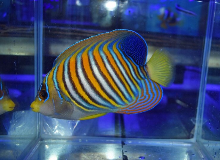 c250605364