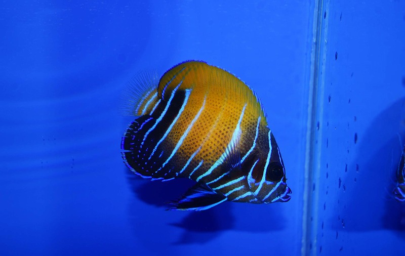 c250626304