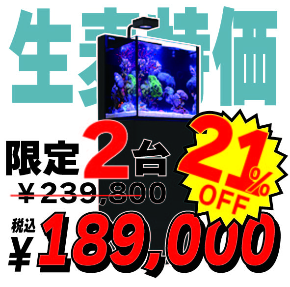 max2025060701