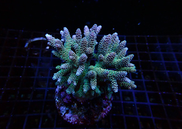 s250601001 (49)