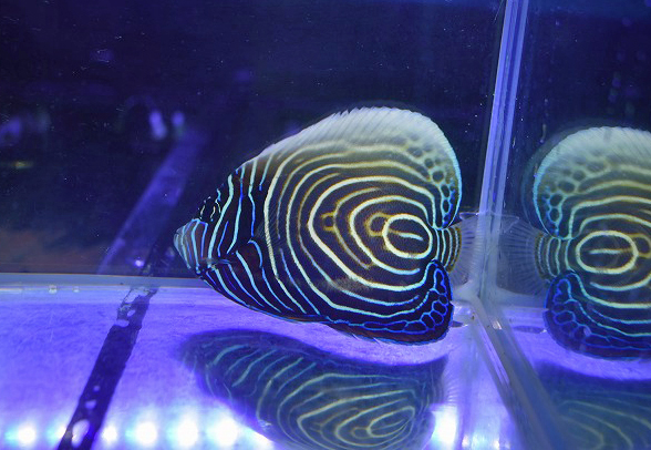 s250706001 (10)