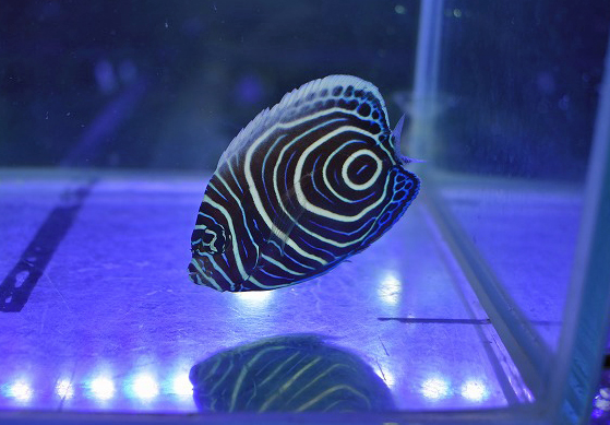 s250706001 (4)
