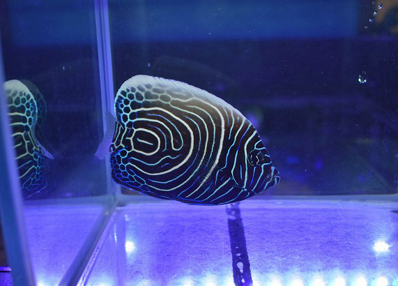 s250706001 (7)
