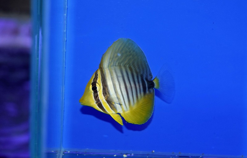 c250822324