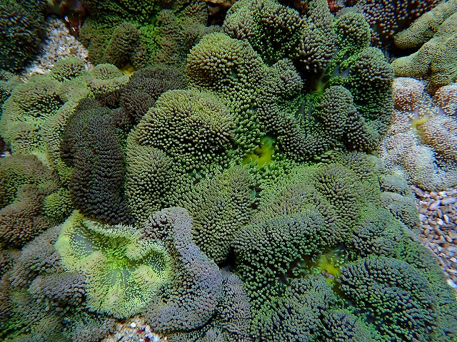 l250801401