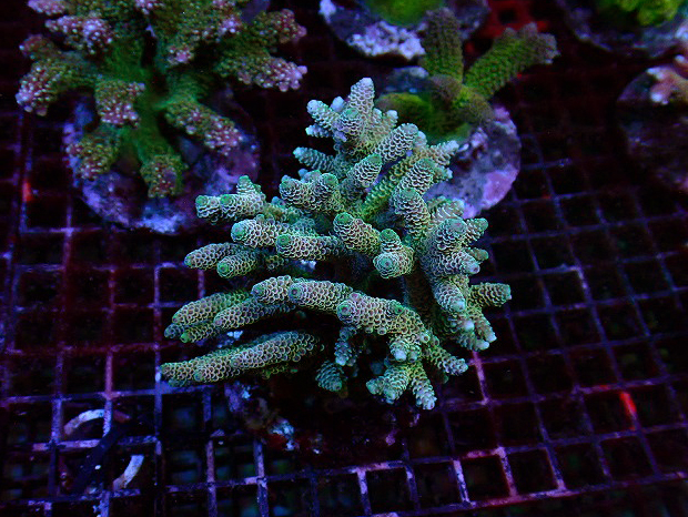 s250904001 (38)