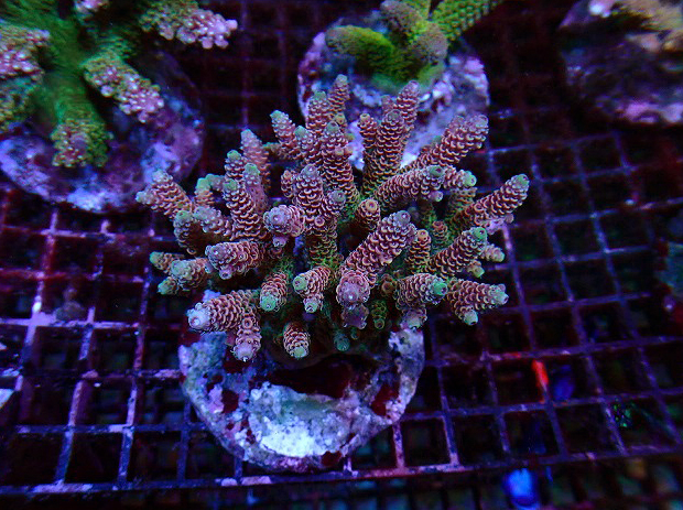 s250904001 (9)