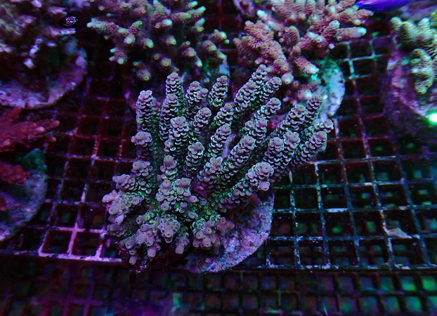 s250923001 (32)