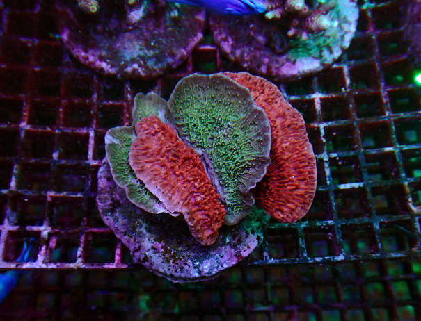 s250923001 (53)