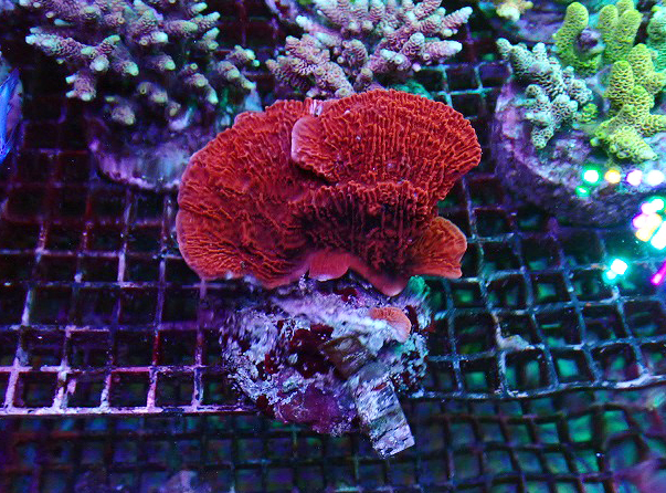 s250923001 (59)