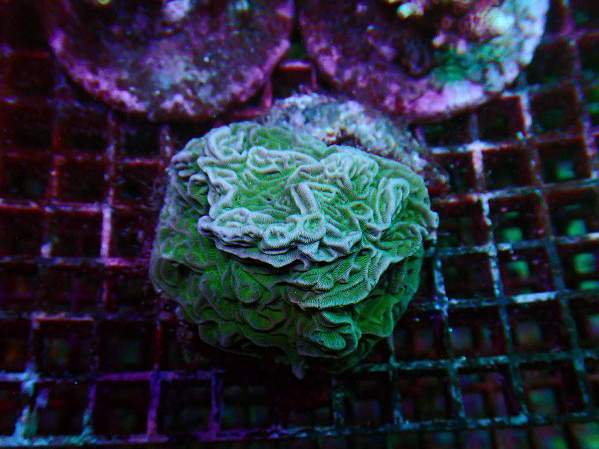 s250923001 (61)