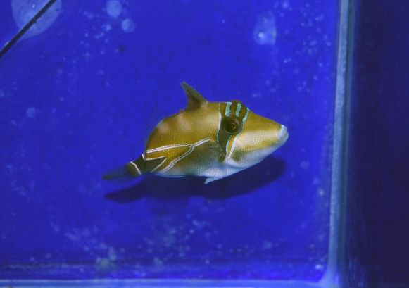 s250926001 (11)