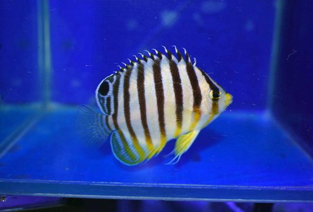 s250926001 (47)