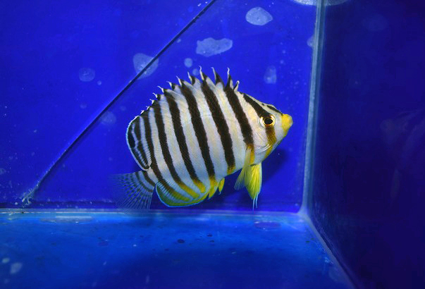 s250926001 (50)