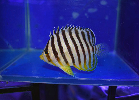 s250926001 (51)