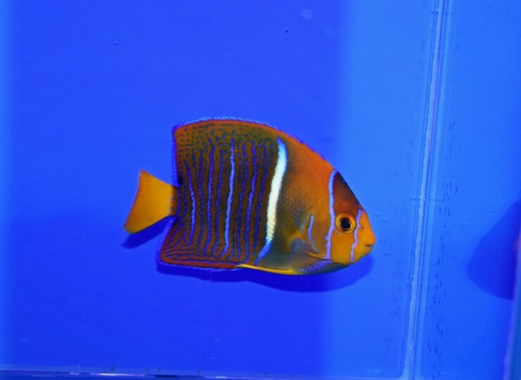 c251002301
