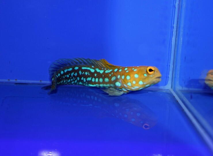 c251002304