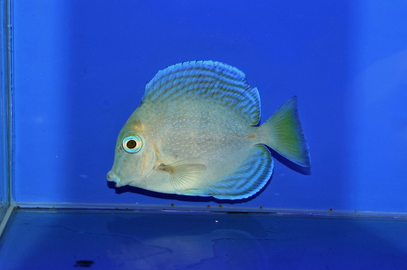 c251002314