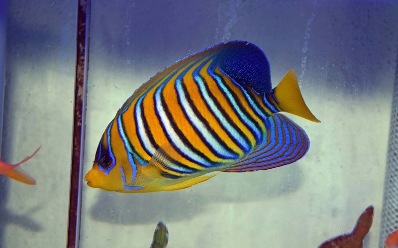 c251002327