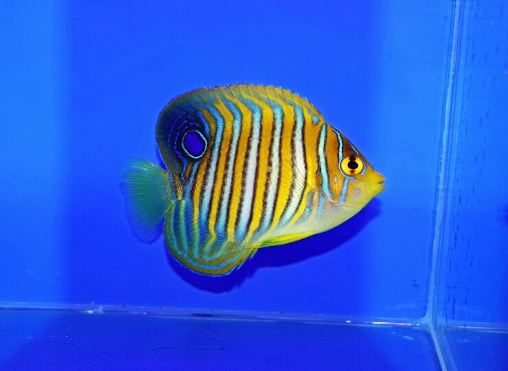 c251009304