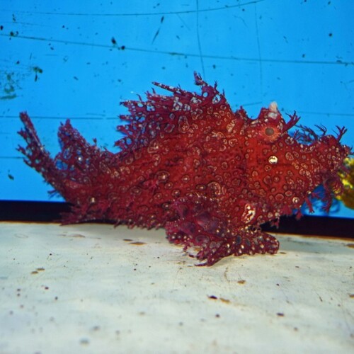 c251012301