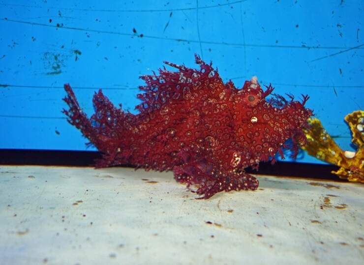 c251012301