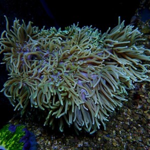 l251001404