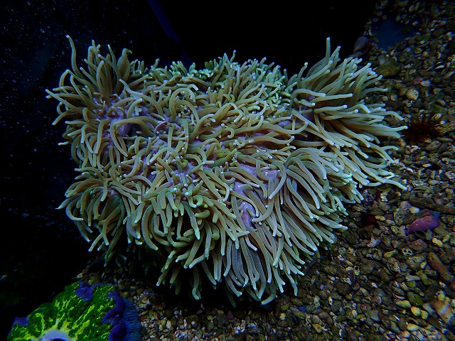 l251001404