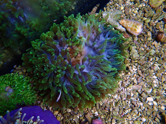 l251017405